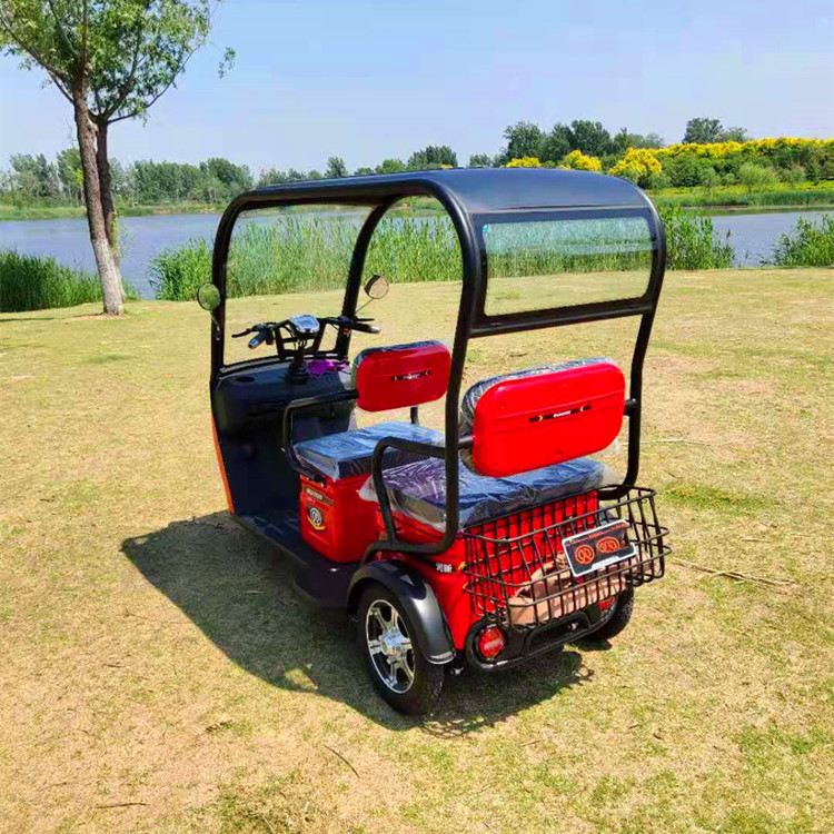 家用电瓶车 城市时尚迷你电动三轮小客车 老年休闲观光小型代步车
