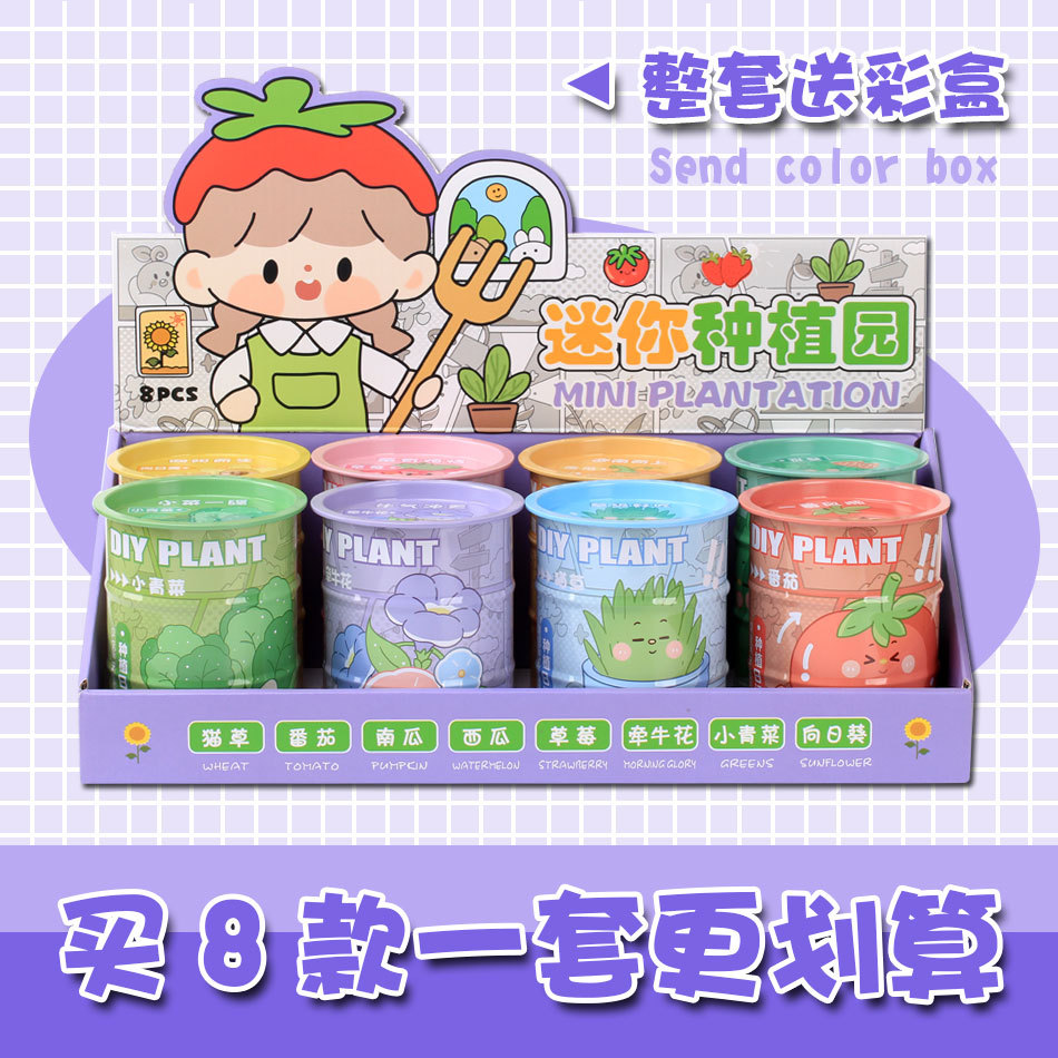 油桶植物盲盒种植小盆栽桌面绿植罐头花卉种子学生小礼物创意盆栽