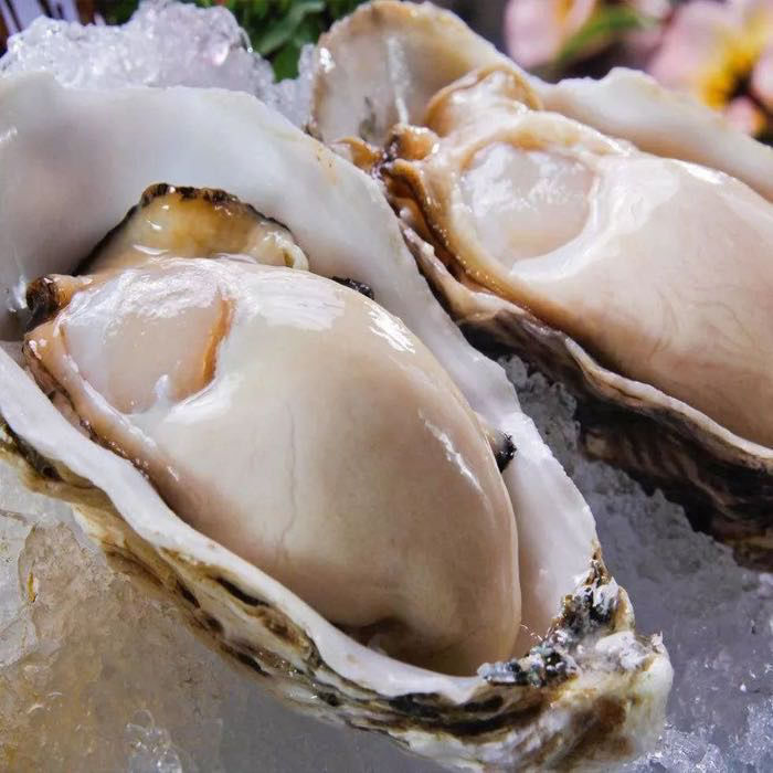 乳山生蚝鲜活6斤顺丰包邮 海鲜水产海蛎子贝壳新鲜散装带壳冷冻批