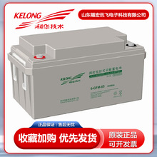 科华蓄电池6GFM-100铅酸免维护12V100AH直流屏UPS电源65AH储能