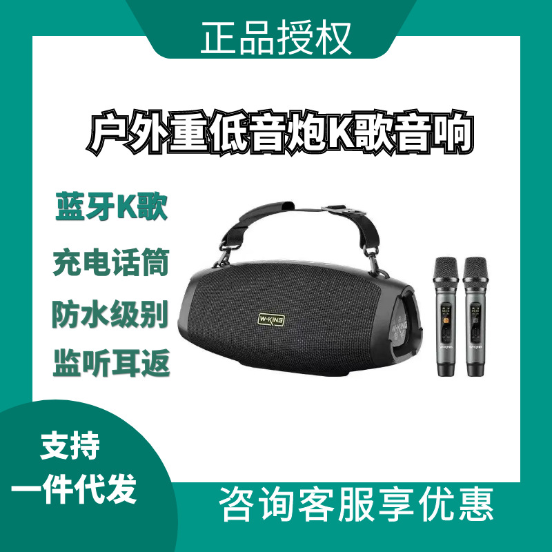 维尔晶D10+便携式蓝牙重低音炮防水音响家用手提唱歌户外移动音箱