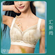 安琪姿2530聚拢舒适无侧骨上薄下厚内衣女轻奢无钢圈调整型文胸罩