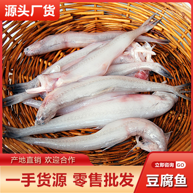 2026水产行业发展市场规模与趋势分析