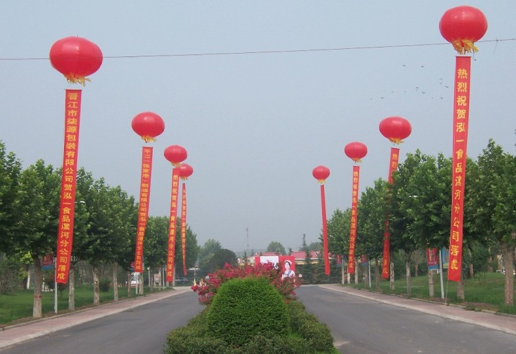 彩色飘空气球升空气球空飘气球氦气球灯笼球广告开业庆典结婚婚庆