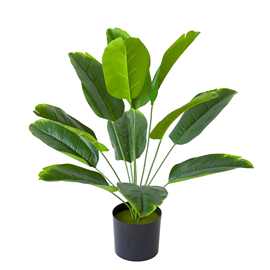 跨境仿真绿植仿真天堂鸟仿真盆栽室内装饰假树植物盆景大龟背批发