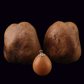 金灯菩提原籽 释迦菩提 佛心果菩提 空心菩提 佛灯果菩提批发