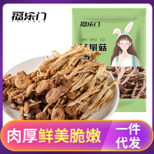 【代发批发】茶树菇古田特产未开伞茶树菇干货精选不开伞新货批发