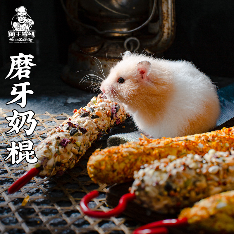 仓鼠谷物磨牙棒金丝熊通心粉鼠花枝鼠龙猫可食用零食