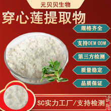 穿心莲内酯98%行业精选工厂直发散装批发现货原料穿心莲提取物