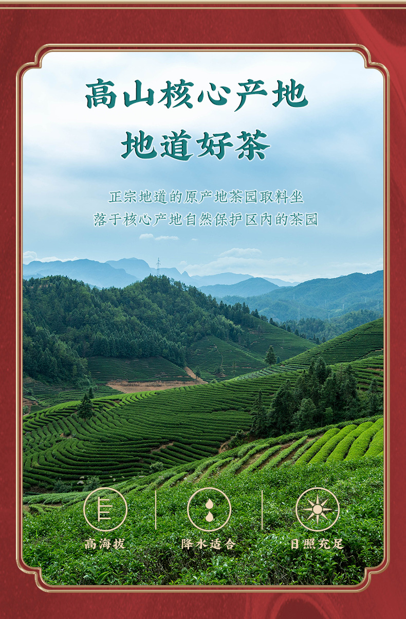 安吉新白茶_04