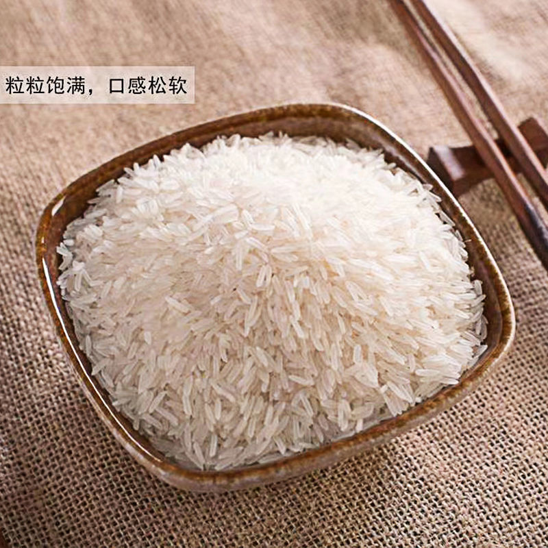 广西巴马香丝苗米籼米一级5kg/十斤装真空包装-阿里巴巴