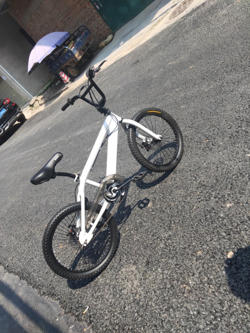bmx小轮车花式街车入门级别特技车20寸前后碟刹16寸自行车默认项