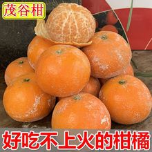 茂谷柑广西当季新鲜水果薄皮桔子爆甜脏脏柑橘石灰整箱跨境批发