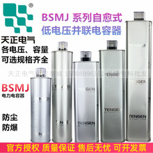 天正 BSMJ0.45-30-3自愈式低压无功补偿并联电力电容器 30KVAR/20