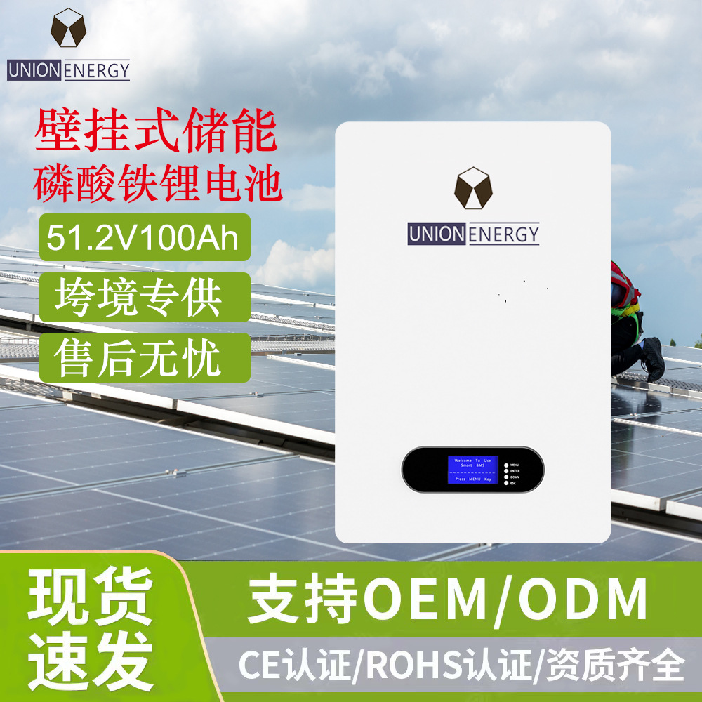 51.2V壁挂式储能锂电池太阳能家庭储能应急电池加工定制磷酸铁锂