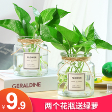 【两件套】加厚北欧ins风玻璃花瓶透明水培植物绿萝创意简约花器