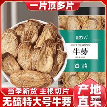 【大号】牛蒡根茶500g野生级材新鲜黄金牛旁干旗舰店