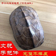 全龟甲天然真龟壳乌龟壳文玩把玩金钱小龟壳风水摆件摇卦工具抛光