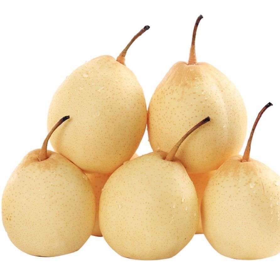 10斤整箱包河北鸭梨水晶梨新鲜梨子水果产地批发非皇冠梨雪梨香梨