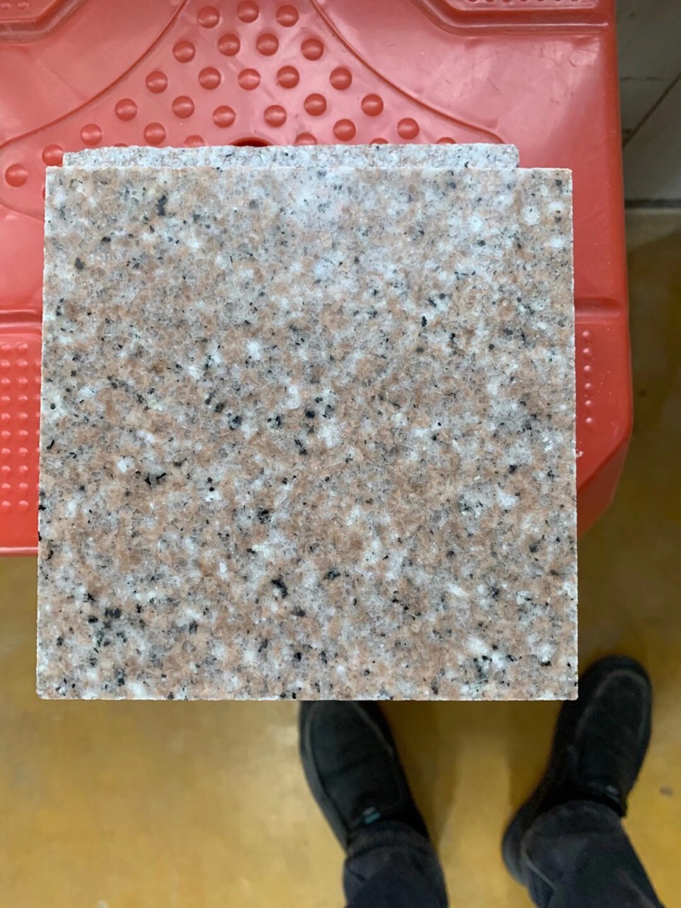 批量生产加工福建正宗老矿石井虾红