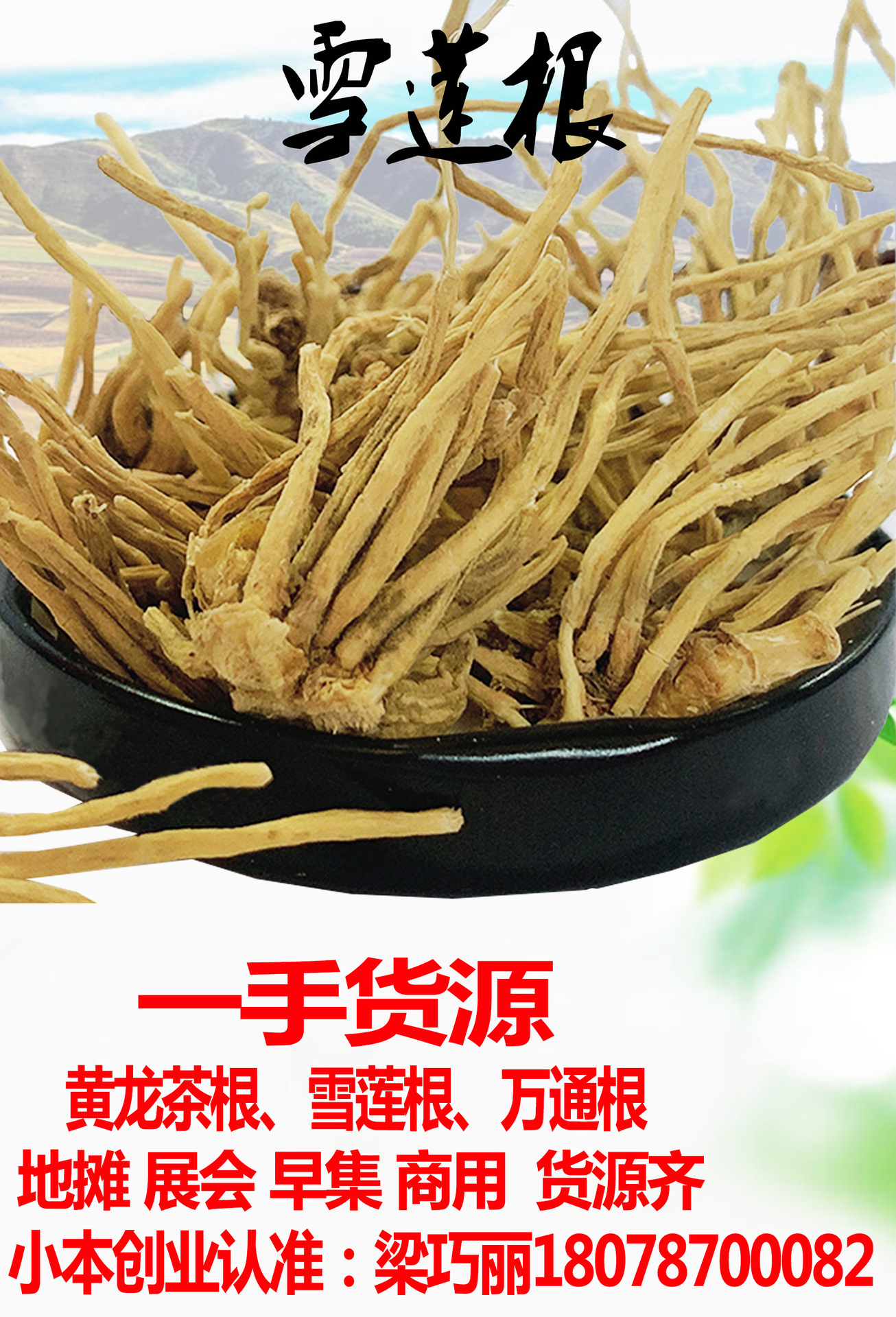 黄龙草根 新货雪莲根 散装批发 雪山黄龙根 黄龙茶 黄龙根头厂家