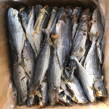 马胶 咸鱼 海鲜干货 海味 鱼干 鱼 海鲜干货 咸鱼 水产 海产品