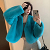 2022 Autumn and winter Korean Edition Fur imitation Plush coat temperament jacket thickening fashion temperament have cash less than that is registered in the accounts overcoat