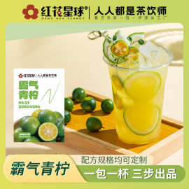 柠檬茶袋装冲调饮品红花星球工厂现货批发霸气青柠餐厅即冲饮料