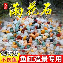 花盆多肉盆栽鱼缸造景彩铺面石头小石子雨花石彩色天然五彩石