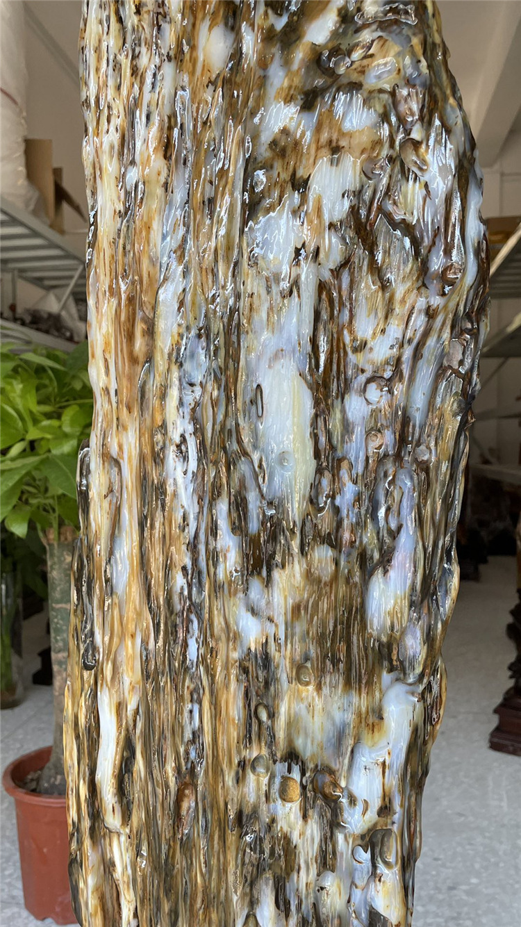 缅甸树化玉天然树化石原石木化玉奇石木化石硅化木家居装饰摆件