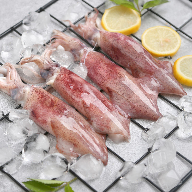 福建东山岛新鲜带籽小笔管鱼满籽海兔子鲜活冷冻带膏乌贼海鲜水产