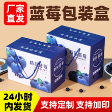 新款现货蓝莓包装盒蓝莓礼盒1-2斤装蓝莓礼品盒厂家直销现货批发