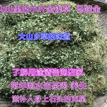 小叶金钱草马蹄金小金钱草四川小叶金钱草 包邮