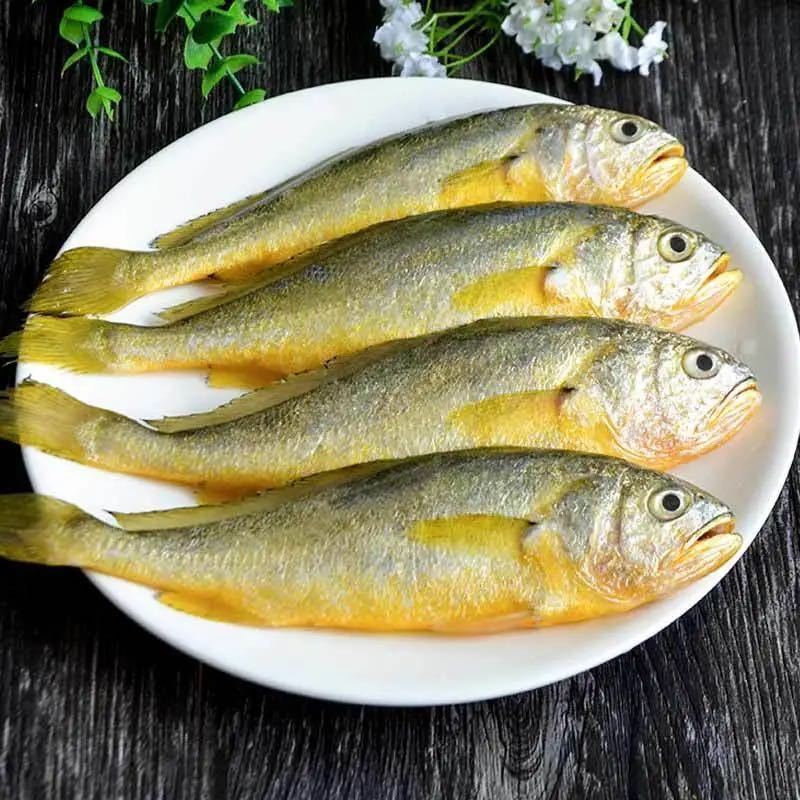 【野生海捕】新鲜冷冻小黄鱼黄花鱼烤小黄花鱼烧烤食材海鲜批发