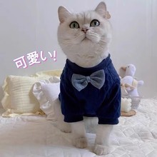 宠物猫咪狗狗衣服秋冬款防掉毛英短蓝猫布偶猫银渐层幼猫小猫卫衣