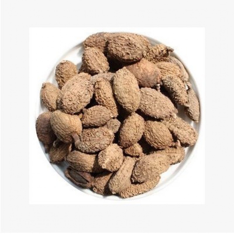 砂仁 阳春特产春砂仁干果 500g生晒原生态有梗 沙仁 香料 包邮