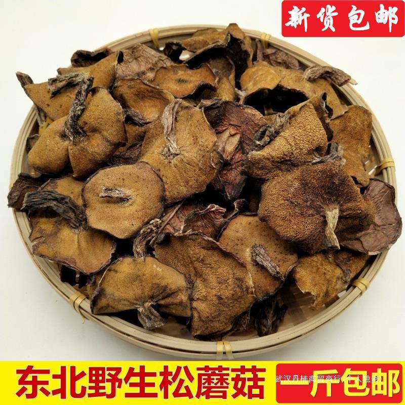 松蘑东北特产野生松蘑菇干货500g松菇蛾子粘团子蘑菇新鲜农家