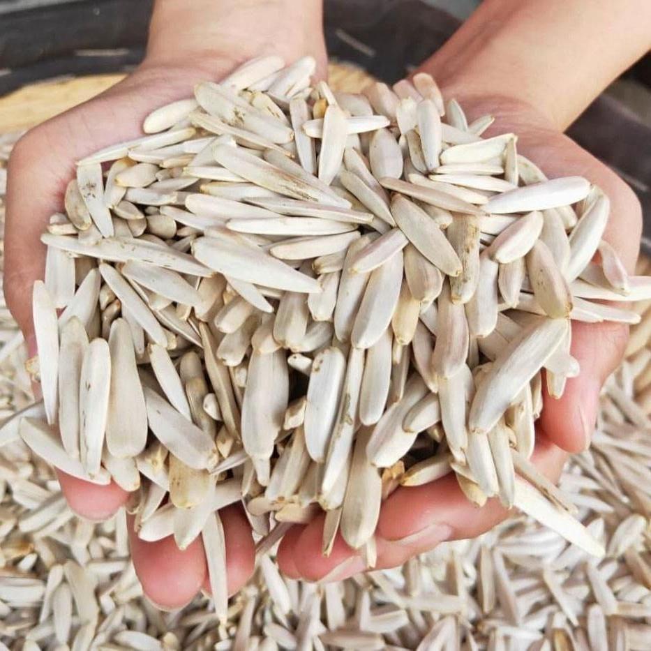 新货牙签瓜子新疆特产马牙葵花籽五香干炒新货白皮薄狼牙瓜子