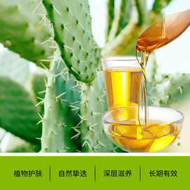 摩洛哥有机仙人掌籽油进口冷压初榨基底油植物批发vcip护肤精油