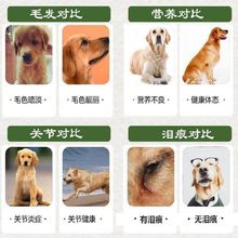 10/20/40斤狗粮通用型成犬幼犬小型中型犬大型犬金毛拉布拉多20