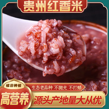 伊香精米5kg 新疆大米稻谷米伊犁察县抓饭米粥米粳米