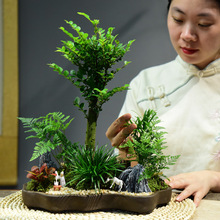 小叶紫檀盆景植物老桩黑骨茶室内盆栽新中式茶室装饰摆件绿植开业