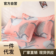 4U8K枕头带枕套套装枕芯一对装助睡眠家用护颈椎枕单人宿舍成人整
