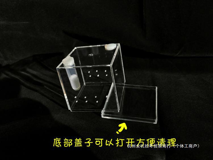 饲养盒高透亚克力跳蛛鸣虫昆虫螳螂甲虫宠物蜘蛛大中小号尺寸