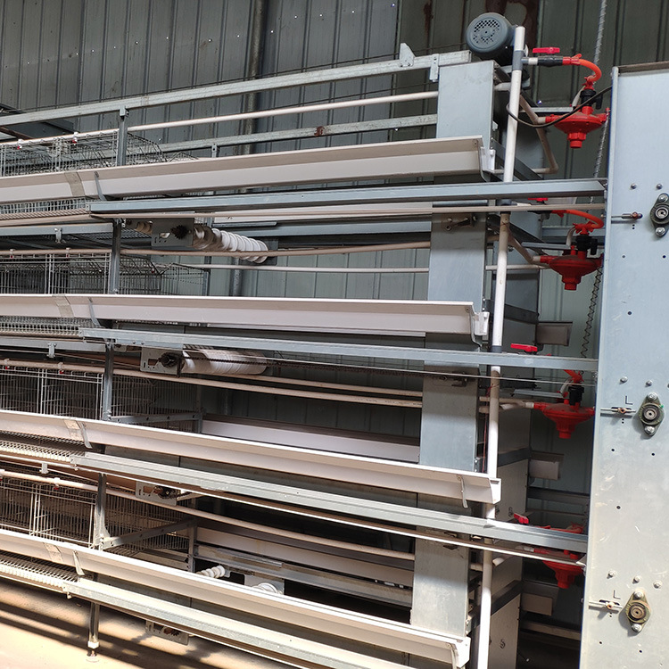 0成交0台四层a型阶梯式鸡笼 养鸡场设备 热镀锌蛋鸡笼全自动捡蛋机