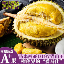 诱鲜地马来西亚猫山王榴莲D197 整果4.5-5斤液氮冷冻带壳水果源头