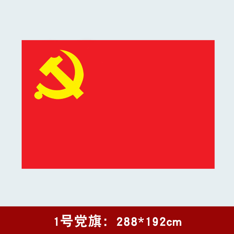 6号小党旗图片