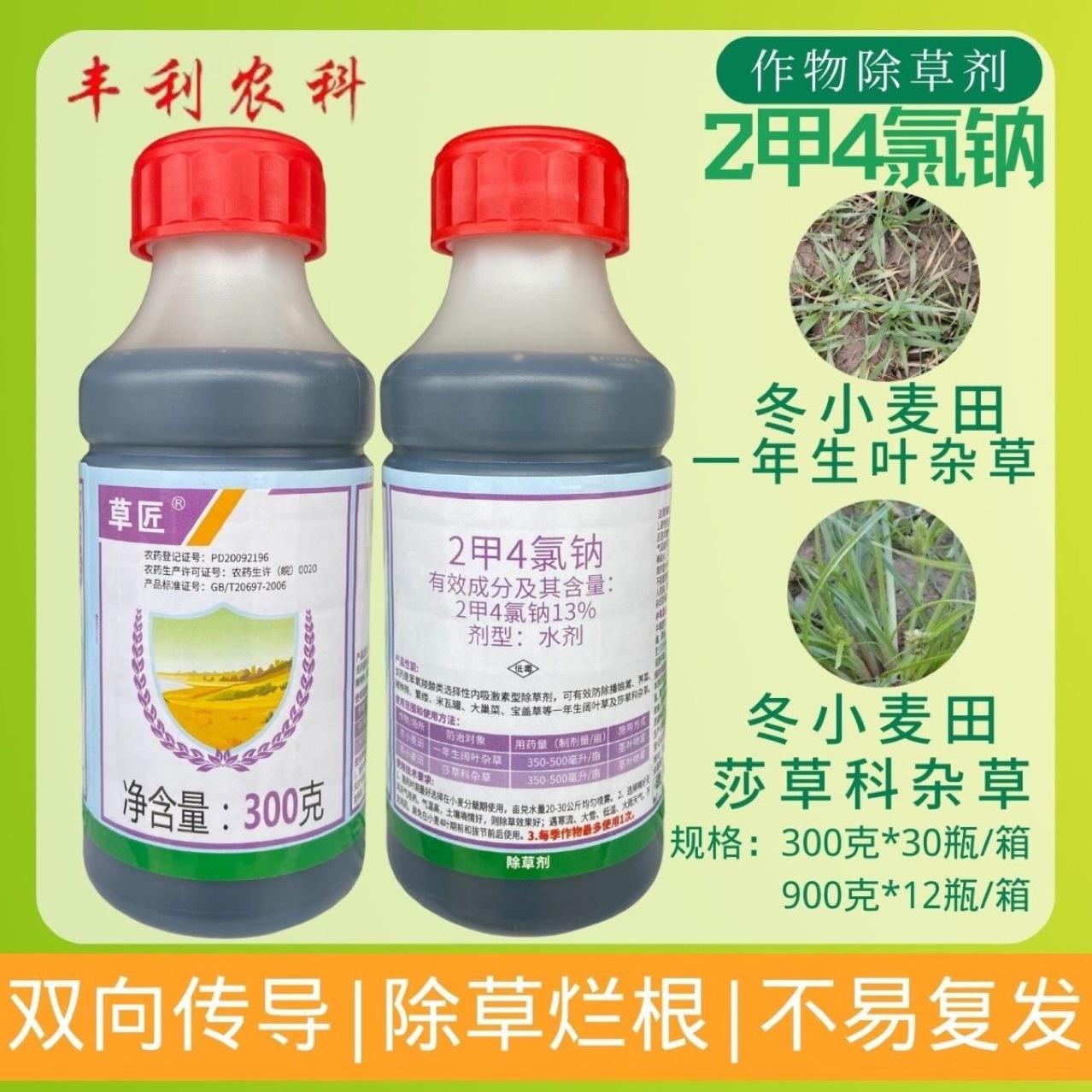 华星草匠2甲4氯钠二甲四氯钠冬小麦田草坪防除阔叶杂草莎草除草剂