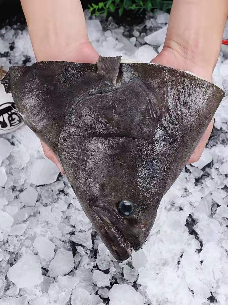 深海鸦片鱼头整箱20斤大鲽鱼头比目鱼头新鲜冷冻海鲜海鱼批发