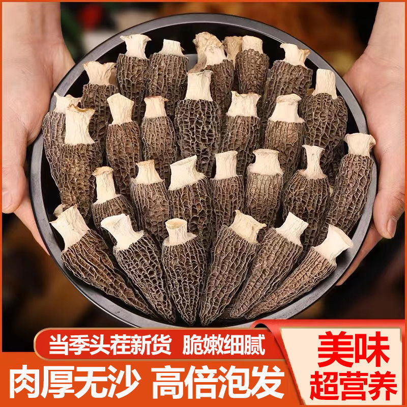 羊肚菌干货云南茵菇头茬新货营养煲汤蘑菇羊肚菇批发一件代发跨境